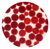 Astaxanthin