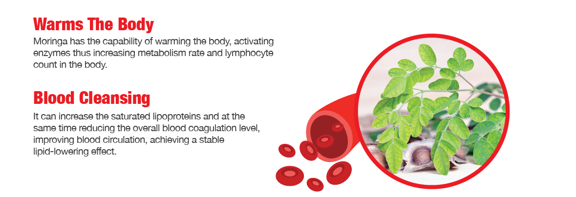 Moringa